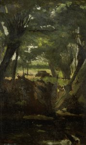 Vue dans les bois