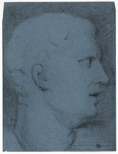 Profil de tête d