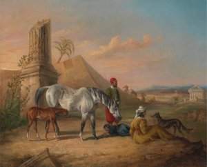 Jument arabe grise et poulain, avec une famille