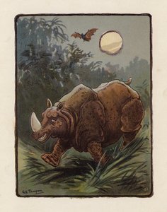 Rhinocéros