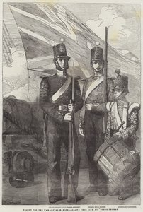 Troupes pour la guerre, Royal Marines