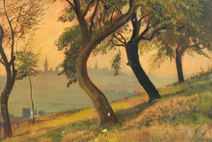 Friedberg en Hesse depuis le Johannisberg Nauheim, 1903