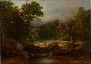 Ruisseau dans les montagnes
