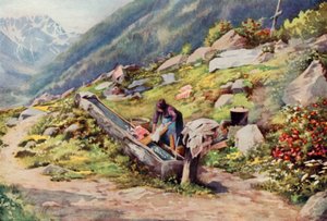 Dans la vallée de Chamonix - George Jackson Flemwell