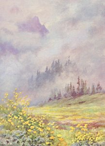Trollius europaeus, la Fleur de Globe, sur les champs balayés par les nuages au début de juin - George Jackson Flemwell