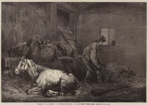 Chevaux dans une écurie