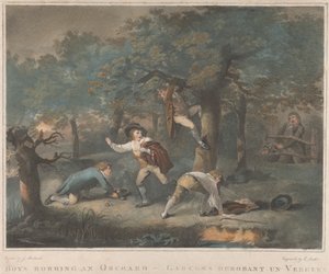 Ensemble de quatre : Garçons volant un verger