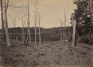 Champ de bataille de Resacca, Géorgie, n° 1 - George N. Barnard