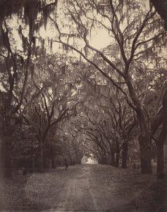 Cimetière de Bonaventure, à quatre miles de Savannah