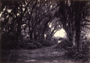 Bonaventure, Savannah, Géorgie