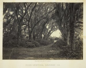 Buen-Ventura Savannah, Ga. - George N. Barnard