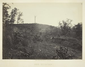 Montagne des pins
