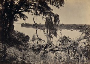 [Rivière Savannah, près de Savannah, Géorgie] - George N. Barnard