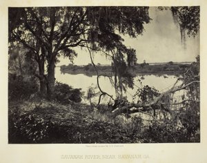 Rivière Savannah, près de Savannah, GA