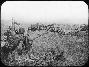 Scène de récolte dans les prairies nord-américaines, fin du XIXe ou début du XXe siècle