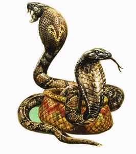 Les cobras royaux - George R. Radcliffe