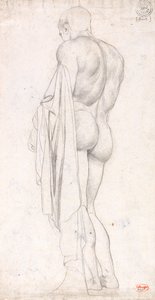 Vue de dos d