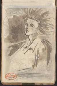 La Dame aux cheveux au vent