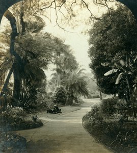 Sentier dans le Queens Park, Brisbane, Australie, vers 1909