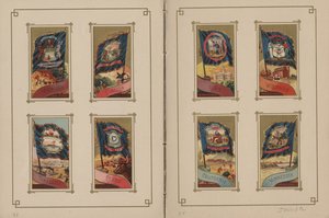 Drapeaux de toutes les nations et des États-Unis d