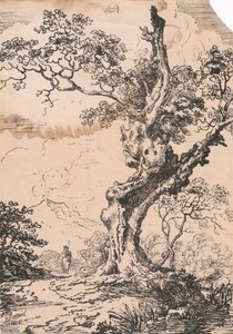 Homme et grand arbre dans le paysage