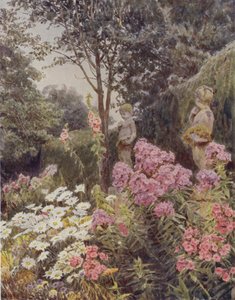 Phlox et Marguerite - George Samuel Elgood