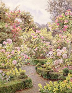Raundscliffe - Partout des roses