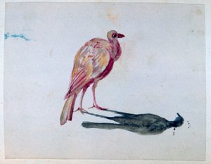 Oiseau, 1820-1876