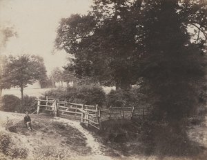 Prairies Vertes - George Shadbolt