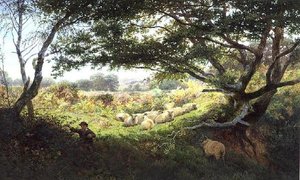 Un berger et son troupeau de moutons