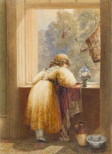 Regarder par une fenêtre à l