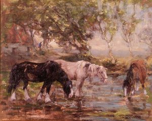 Chevaux à un bassin