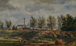 Coupure du Grand Chemin de Fer du Nord à Kings Cross, une esquisse de la nature