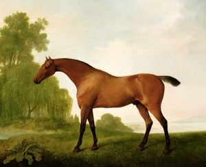 Un pur-sang bai dans un paysage - George Stubbs