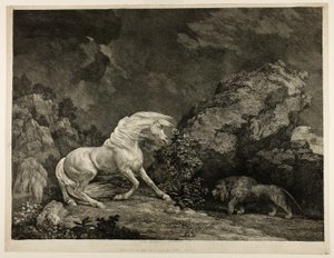 Un cheval effrayé par un lion