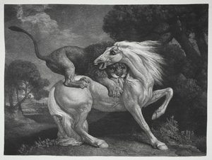 Un cheval attaqué par un lion