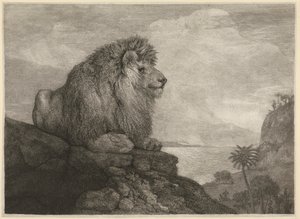Un lion [Un lion reposant sur un rocher]