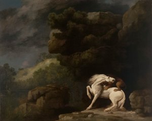 Un lion attaquant un cheval