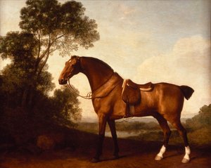 Un chasseur de la baie en selle