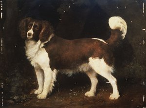 Un épagneul dans un paysage, 1784