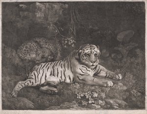 Un tigre et un léopard endormi - George Stubbs