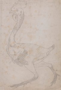 Corps de volaille, vue latérale (Probablement préparé pour être transféré sur la plaque pour graver la figure clé de la Table X) - George Stubbs