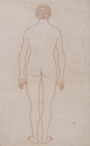 Corps humain, vue postérieure - George Stubbs