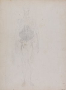 Figure humaine, vue antérieure (principalement en contour) - George Stubbs
