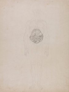 Figure humaine, vue antérieure (dessin au trait) - George Stubbs
