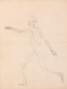Figure humaine, vue latérale (Pour la figure clé de la Table XIII) - George Stubbs