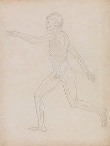 Figure humaine, vue latérale - George Stubbs
