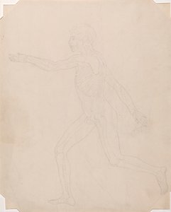 Figure humaine, vue latérale - George Stubbs