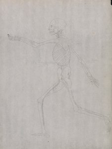 Figure humaine, vue latérale - George Stubbs