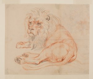 Lion au repos, recto, 18ème ou 19ème siècle